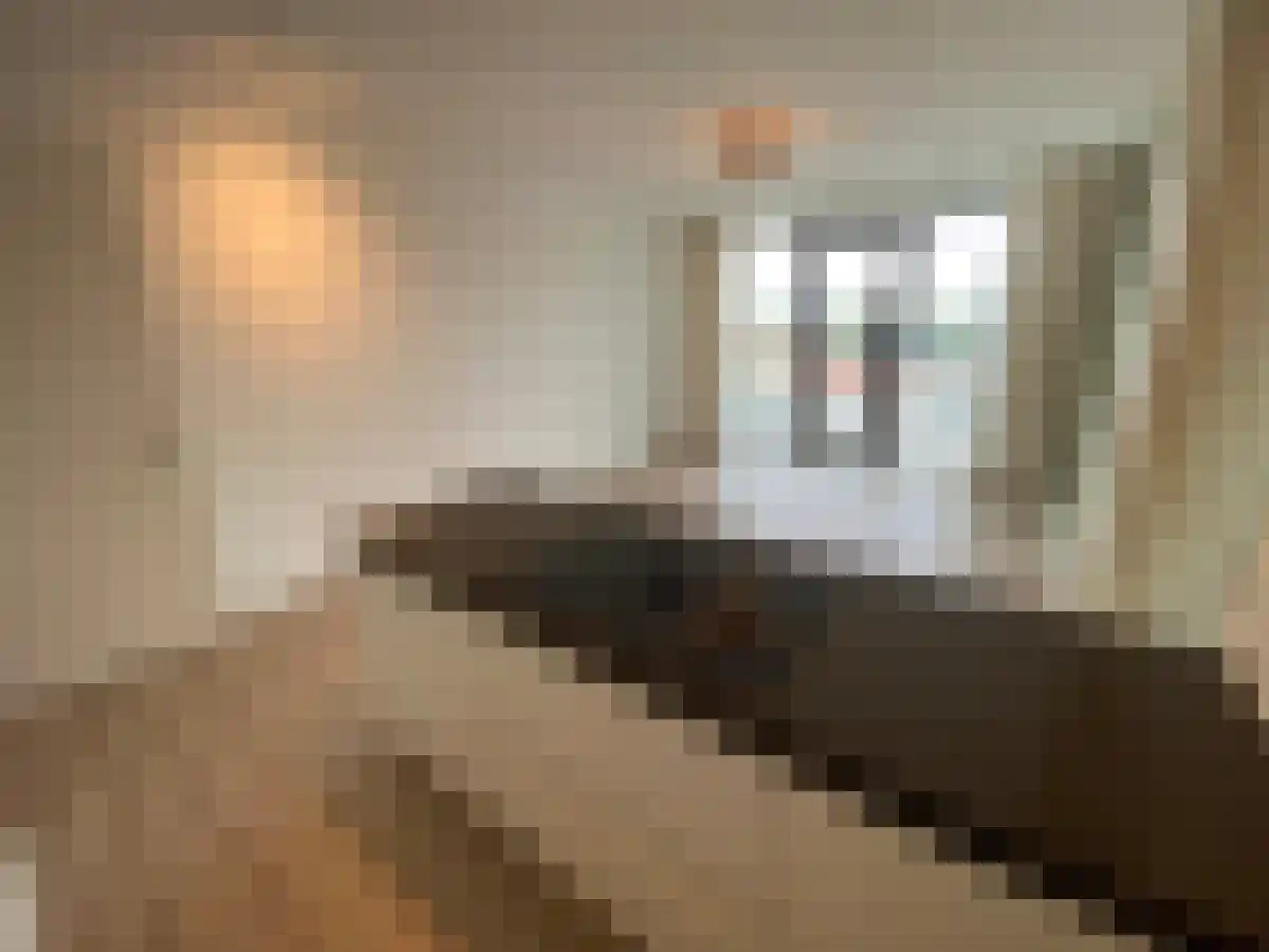 Torenallee Eindhoven thumbnail 5