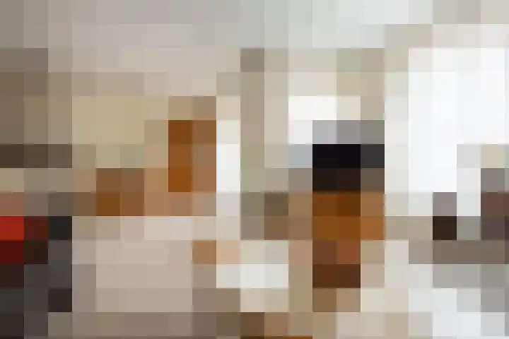 Torenbaan 1 a Heerle thumbnail 4
