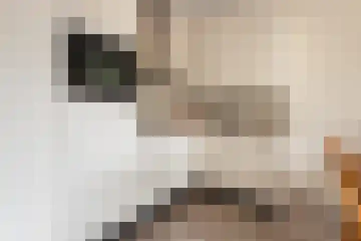 Torenbaan 1 a Heerle thumbnail 8