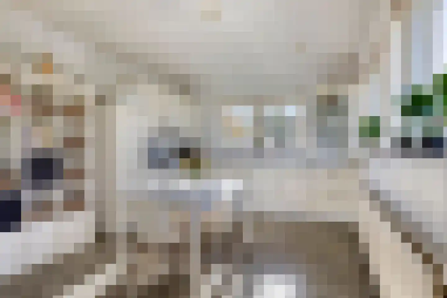 Torenbaan 3 Heerle thumbnail 14
