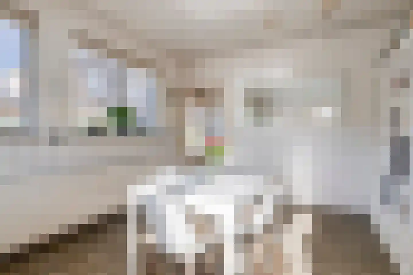 Torenbaan 3 Heerle thumbnail 18