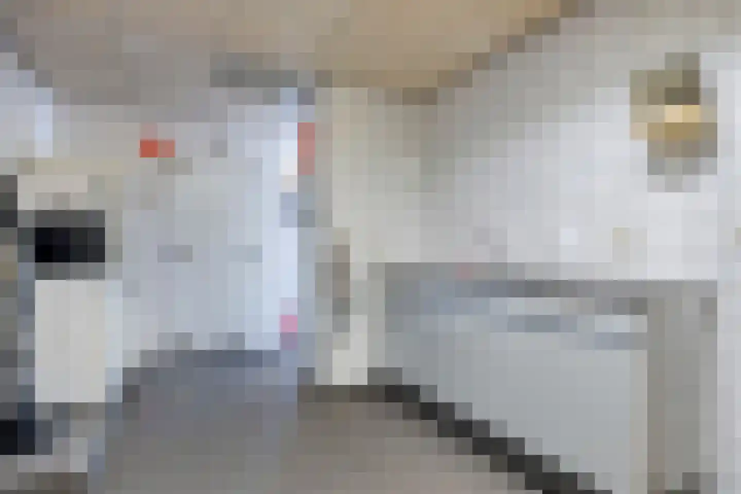 Torenbaan 3 Heerle thumbnail 26