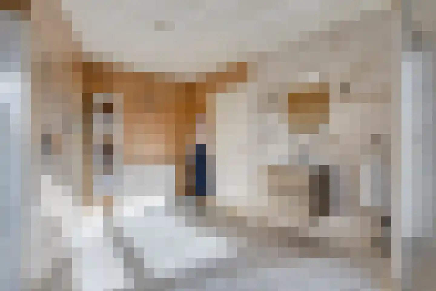 Torenbaan 3 Heerle thumbnail 44