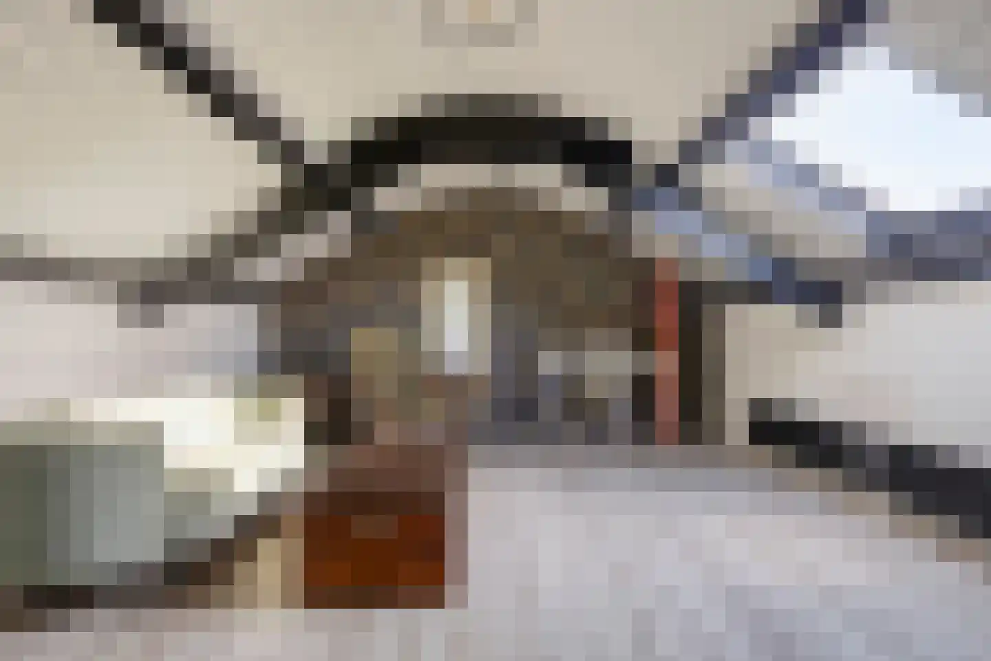 Torenbaan 3 Heerle thumbnail 50