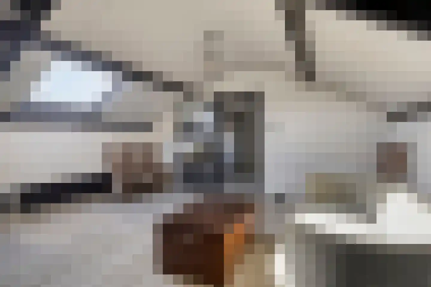 Torenbaan 3 Heerle thumbnail 51