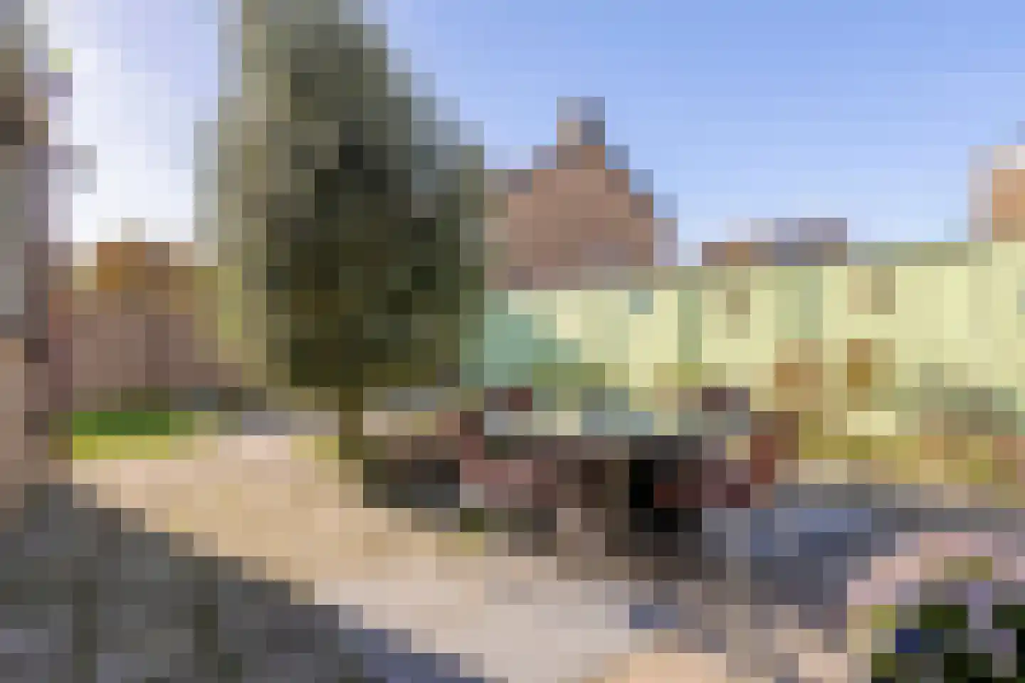 Torenbaan 3 Heerle thumbnail 58