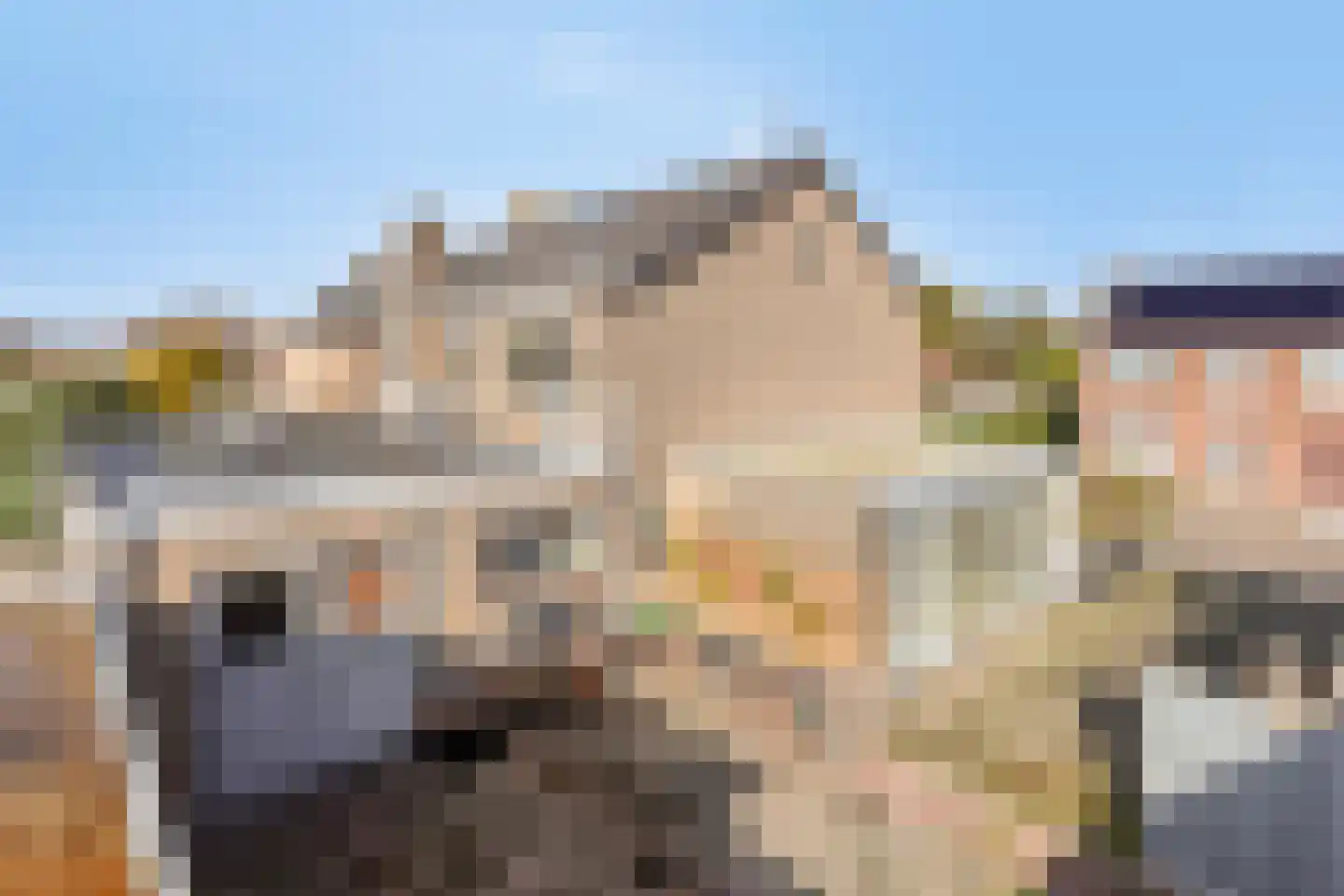 Torenbaan 3 Heerle thumbnail 73