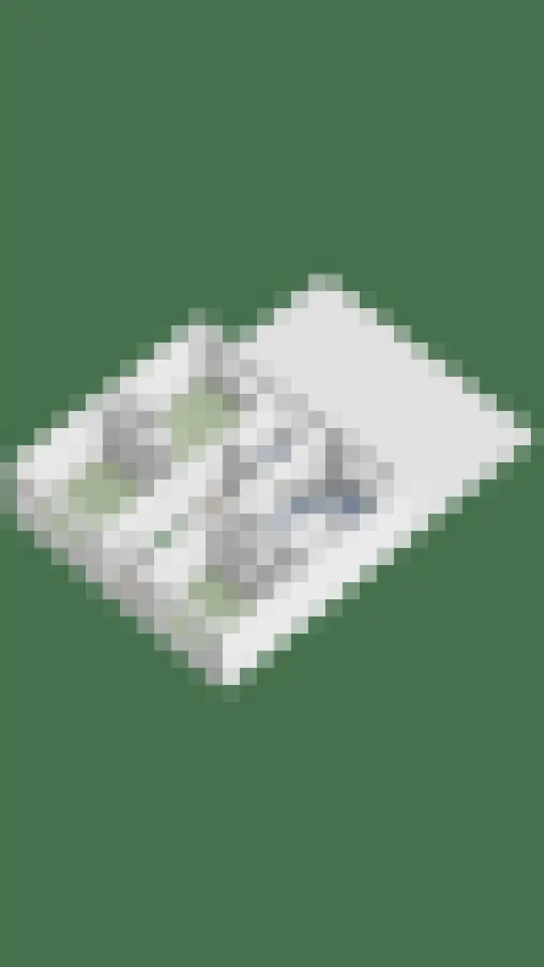 Torenbaan 3 Heerle thumbnail 87