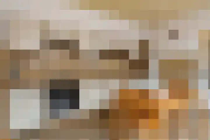 Torenbaan 44 Heerle thumbnail 18