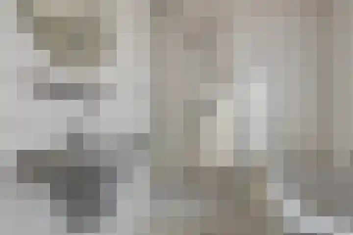 Torenbaan 44 Heerle thumbnail 32