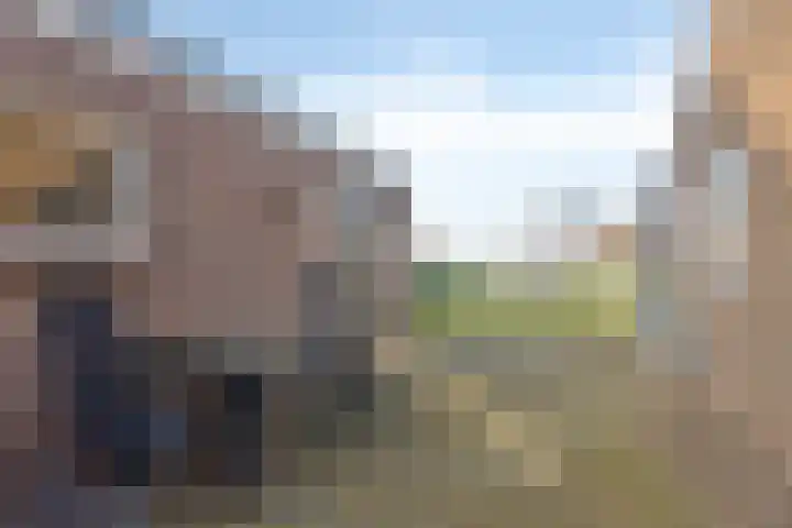 Torenbaan 44 Heerle thumbnail 40