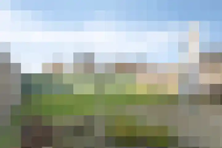 Torenbaan 44 Heerle thumbnail 42