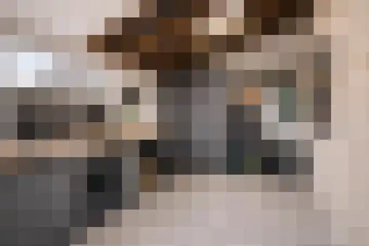 Torenbaan 44 Heerle thumbnail 47