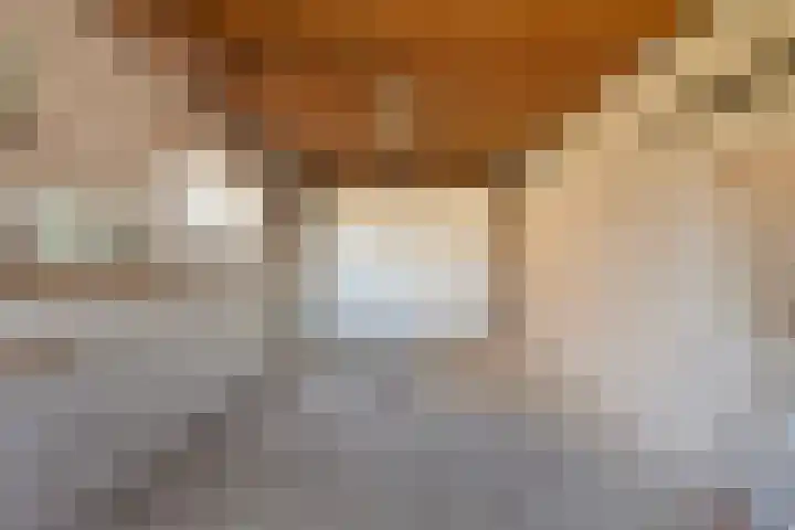 Torenbaan 44 Heerle thumbnail 49