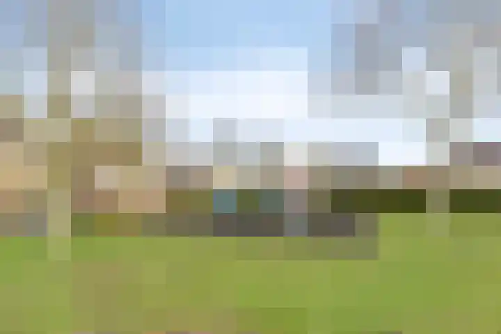 Torenbaan 44 Heerle thumbnail 59