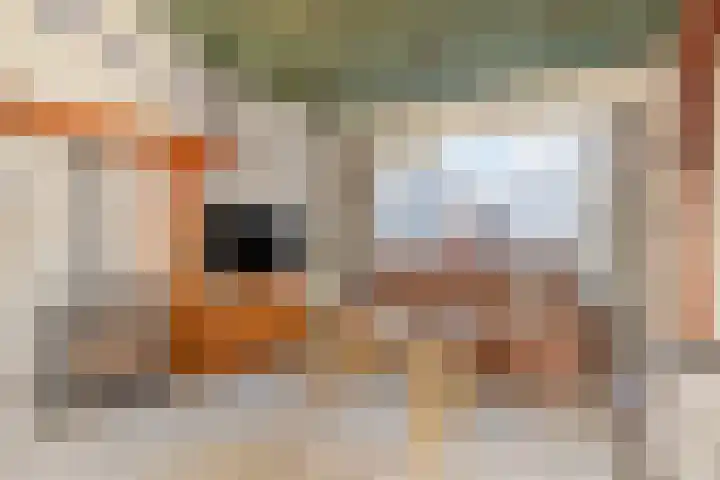 Torenbaan 44 Heerle thumbnail 8
