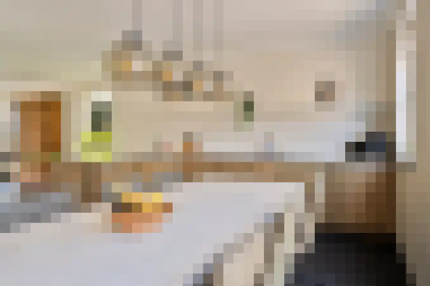 Torenbaan 54 Heerle thumbnail 17