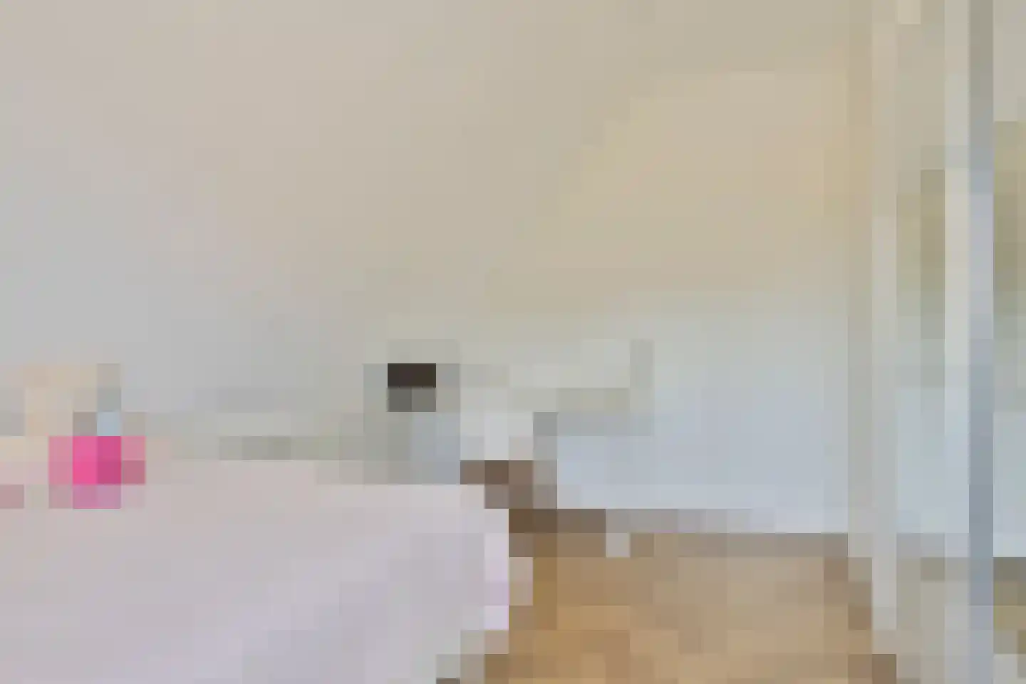Torenbaan 54 Heerle thumbnail 37