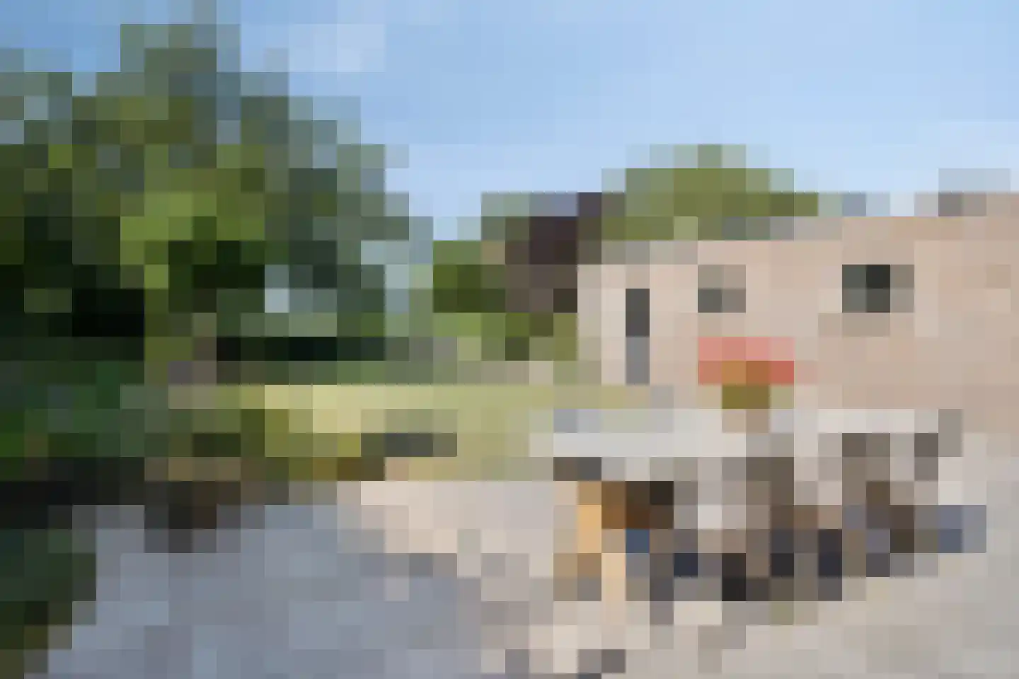 Torenbaan 54 Heerle thumbnail 46
