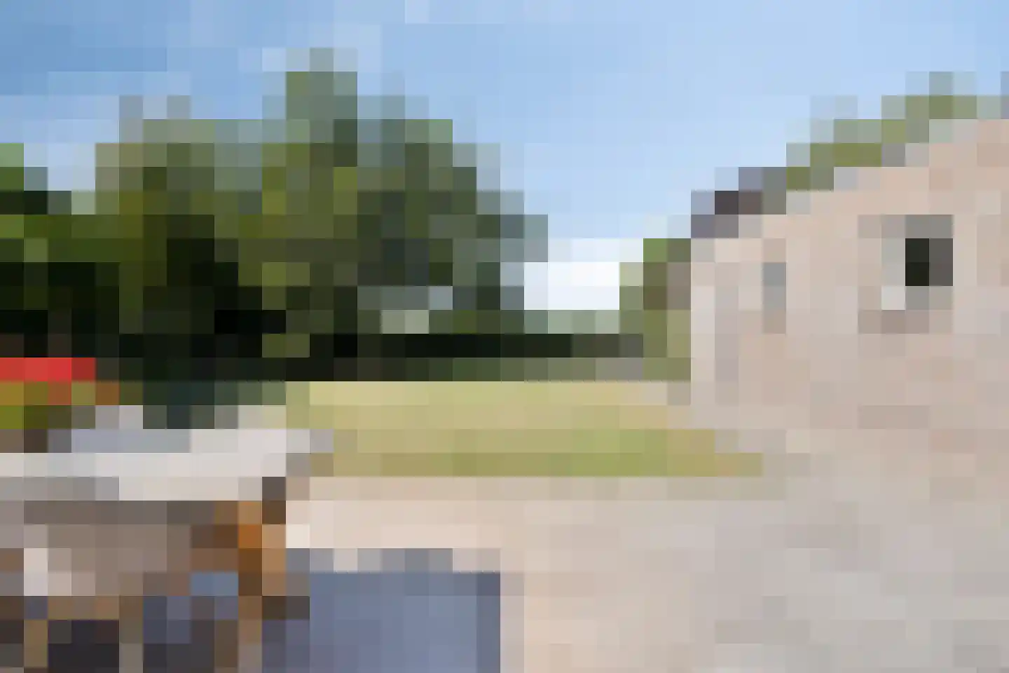 Torenbaan 54 Heerle thumbnail 47