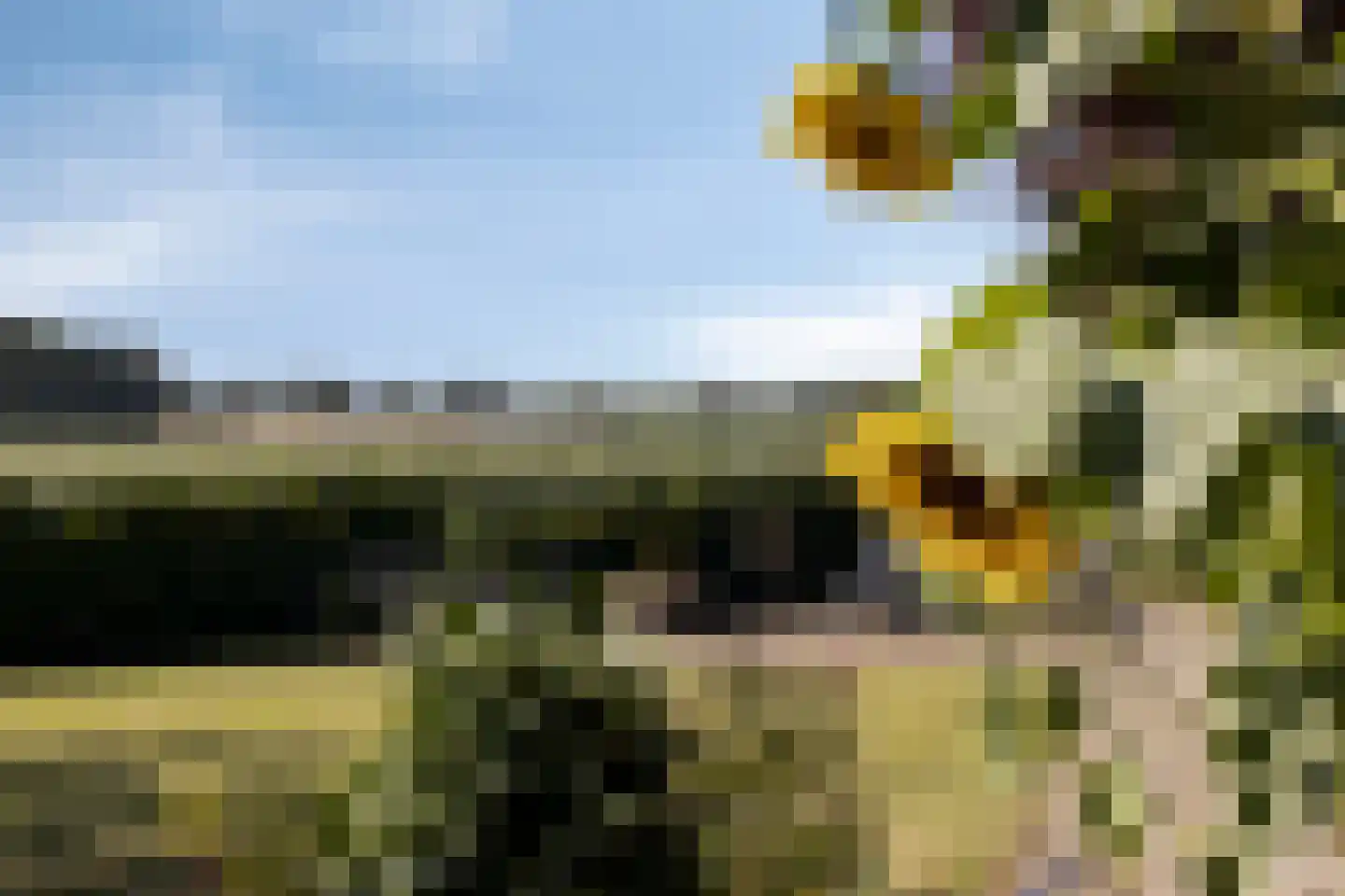 Torenbaan 54 Heerle thumbnail 54