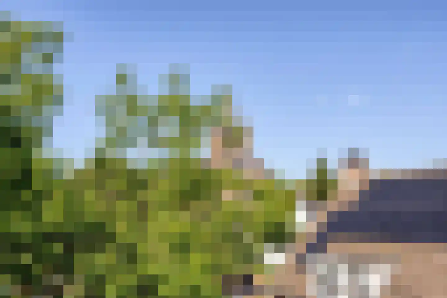 Torenbeemd 111 Oisterwijk thumbnail 18