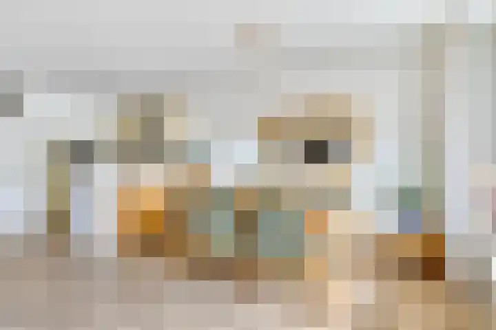Torenbeemd 31 Oisterwijk thumbnail 10