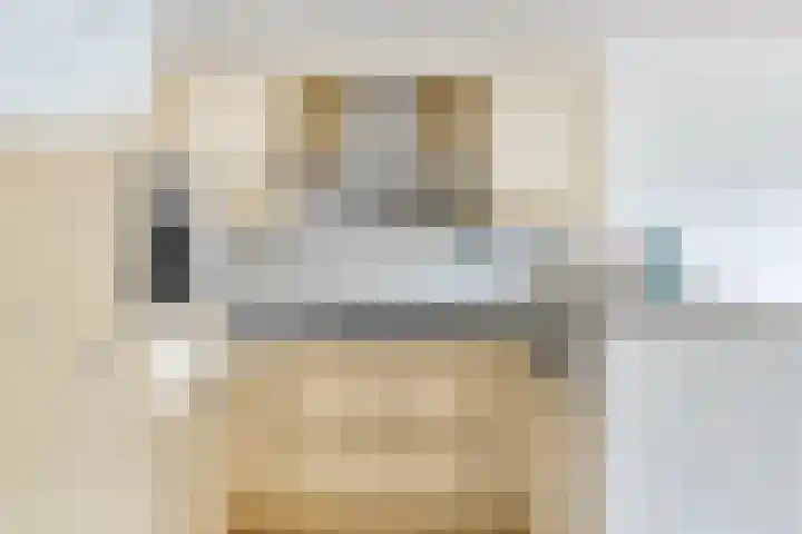 Torenbeemd 31 Oisterwijk thumbnail 11