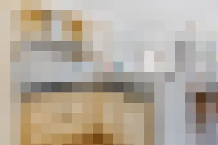 Torenbeemd 31 Oisterwijk thumbnail 12