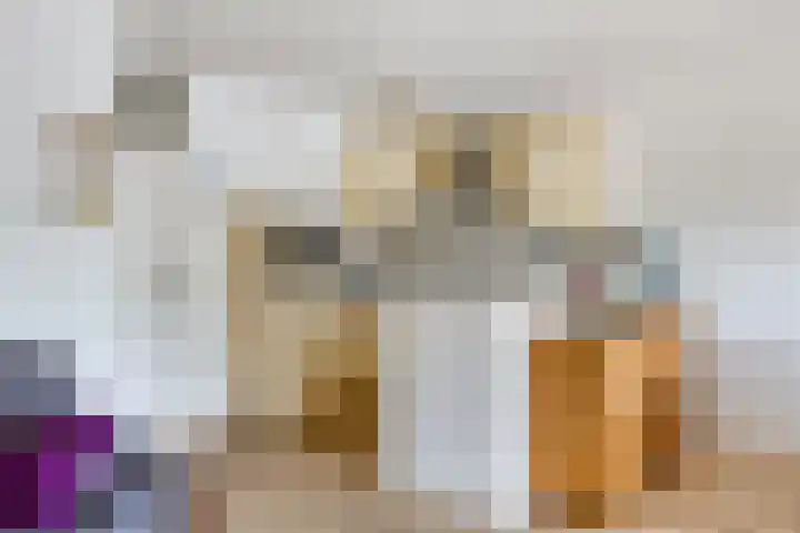 Torenbeemd 31 Oisterwijk thumbnail 13