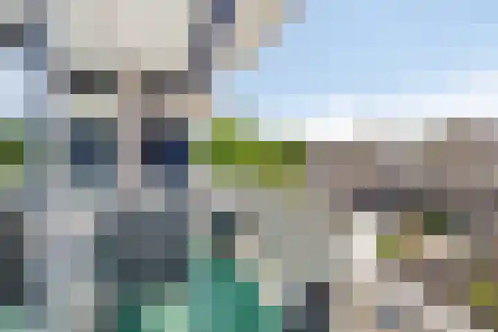 Torenbeemd 31 Oisterwijk thumbnail 15