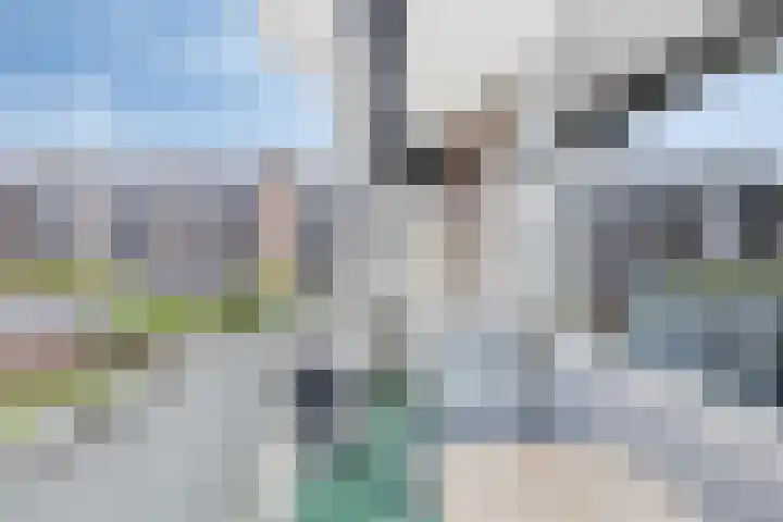 Torenbeemd 31 Oisterwijk thumbnail 16