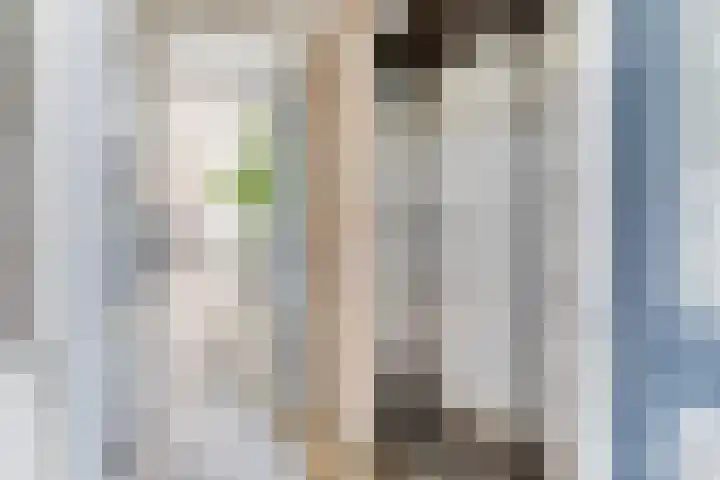 Torenbeemd 31 Oisterwijk thumbnail 22