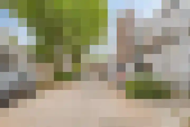 Torenbeemd 31 Oisterwijk thumbnail 23