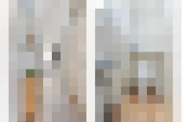 Torenbeemd 31 Oisterwijk thumbnail 5