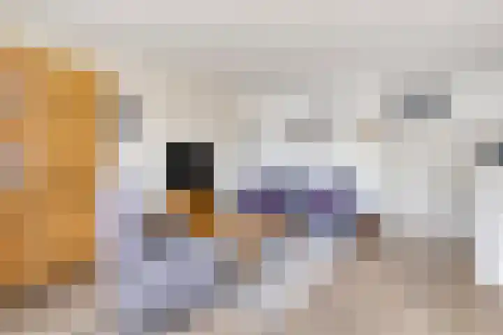 Torenbeemd 31 Oisterwijk thumbnail 6