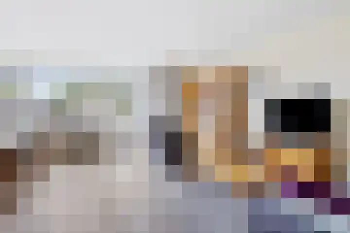 Torenbeemd 31 Oisterwijk thumbnail 7