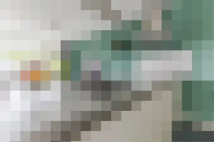 Torenbeemd 33 Oisterwijk thumbnail 17