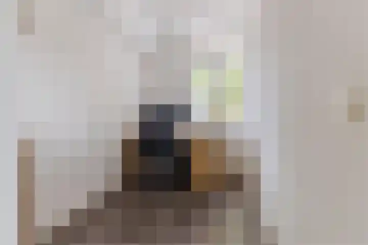 Torenbeemd 33 Oisterwijk thumbnail 24