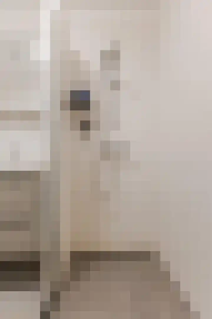 Torenbeemd 33 Oisterwijk thumbnail 29