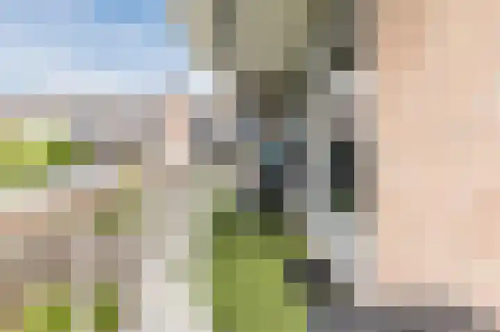Torenbeemd 33 Oisterwijk thumbnail 32