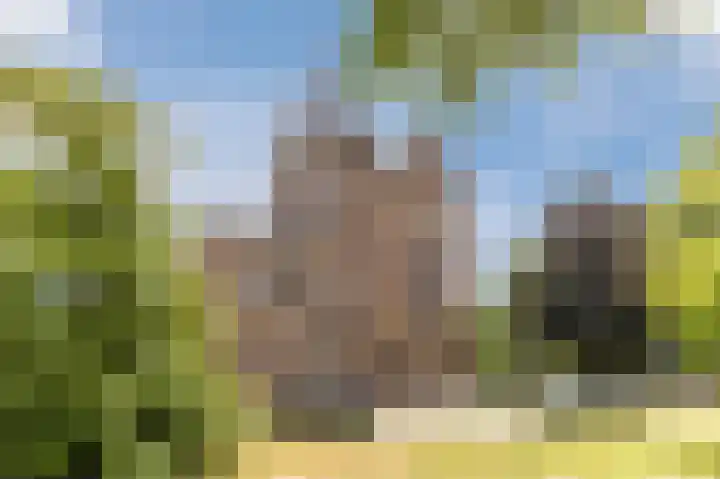 Torenbeemd 33 Oisterwijk thumbnail 36