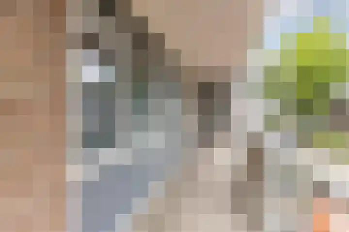 Torenbeemd 33 Oisterwijk thumbnail 4