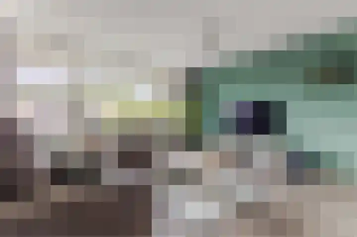 Torenbeemd 33 Oisterwijk thumbnail 7