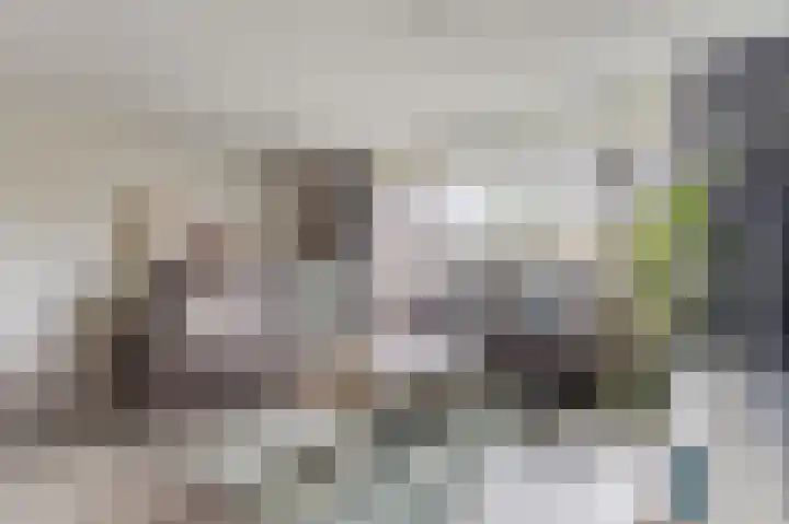 Torenbeemd 33 Oisterwijk thumbnail 8