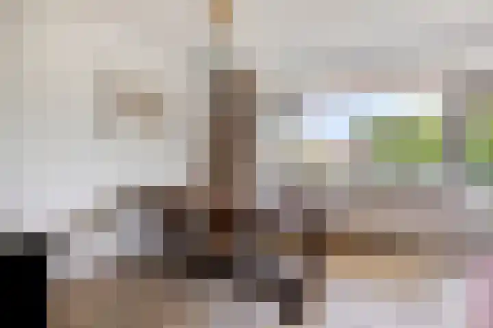 Torenbeemd 35 Oisterwijk thumbnail 11