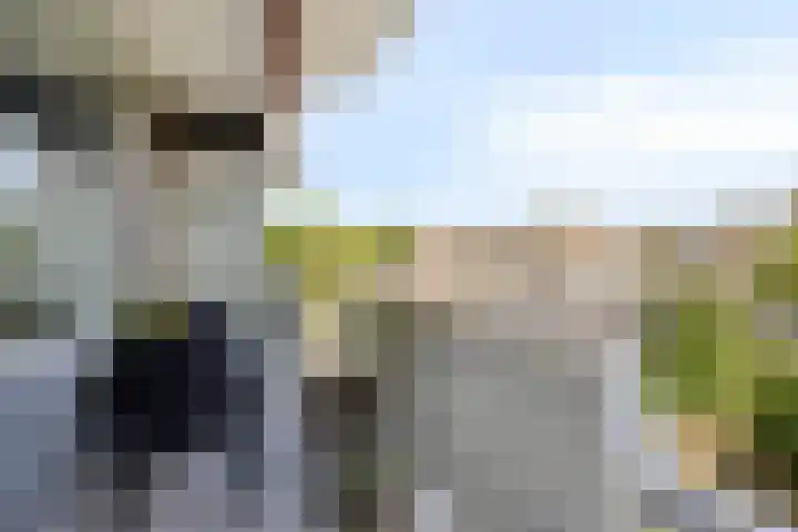 Torenbeemd 35 Oisterwijk thumbnail 21