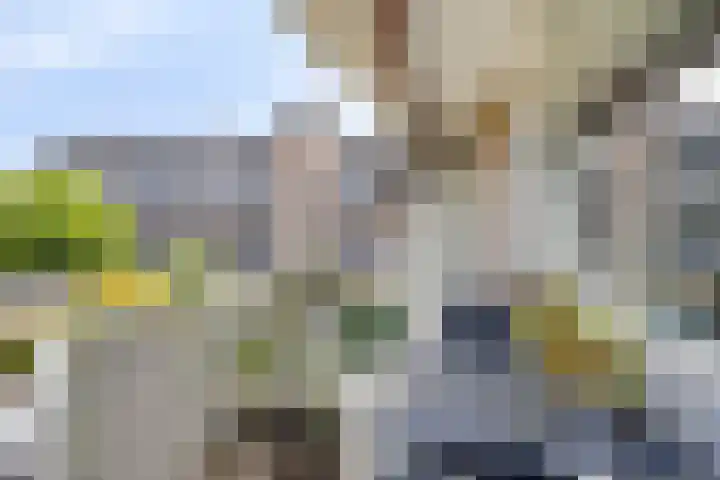 Torenbeemd 35 Oisterwijk thumbnail 22