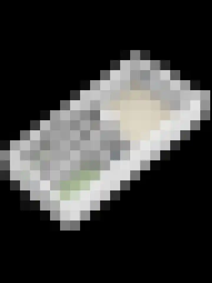 Torenbeemd 35 Oisterwijk thumbnail 25