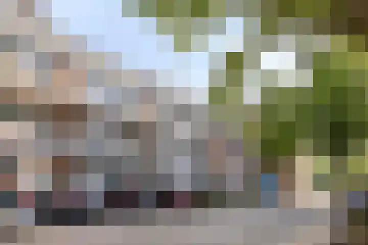 Torenbeemd 35 Oisterwijk thumbnail 26